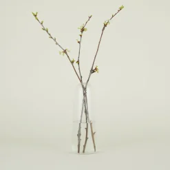 Aurora Pill Vase