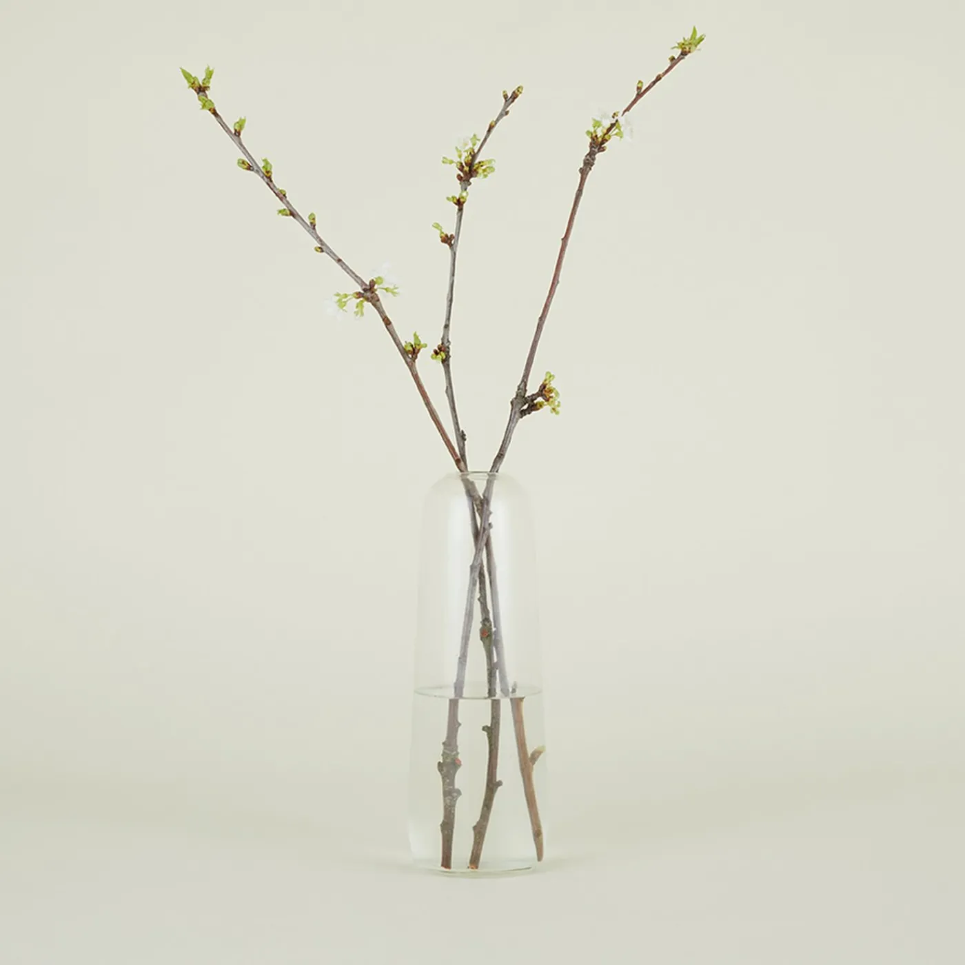 Aurora Pill Vase