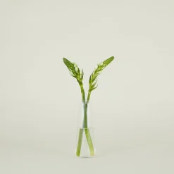 Aurora Slim Drop Vase