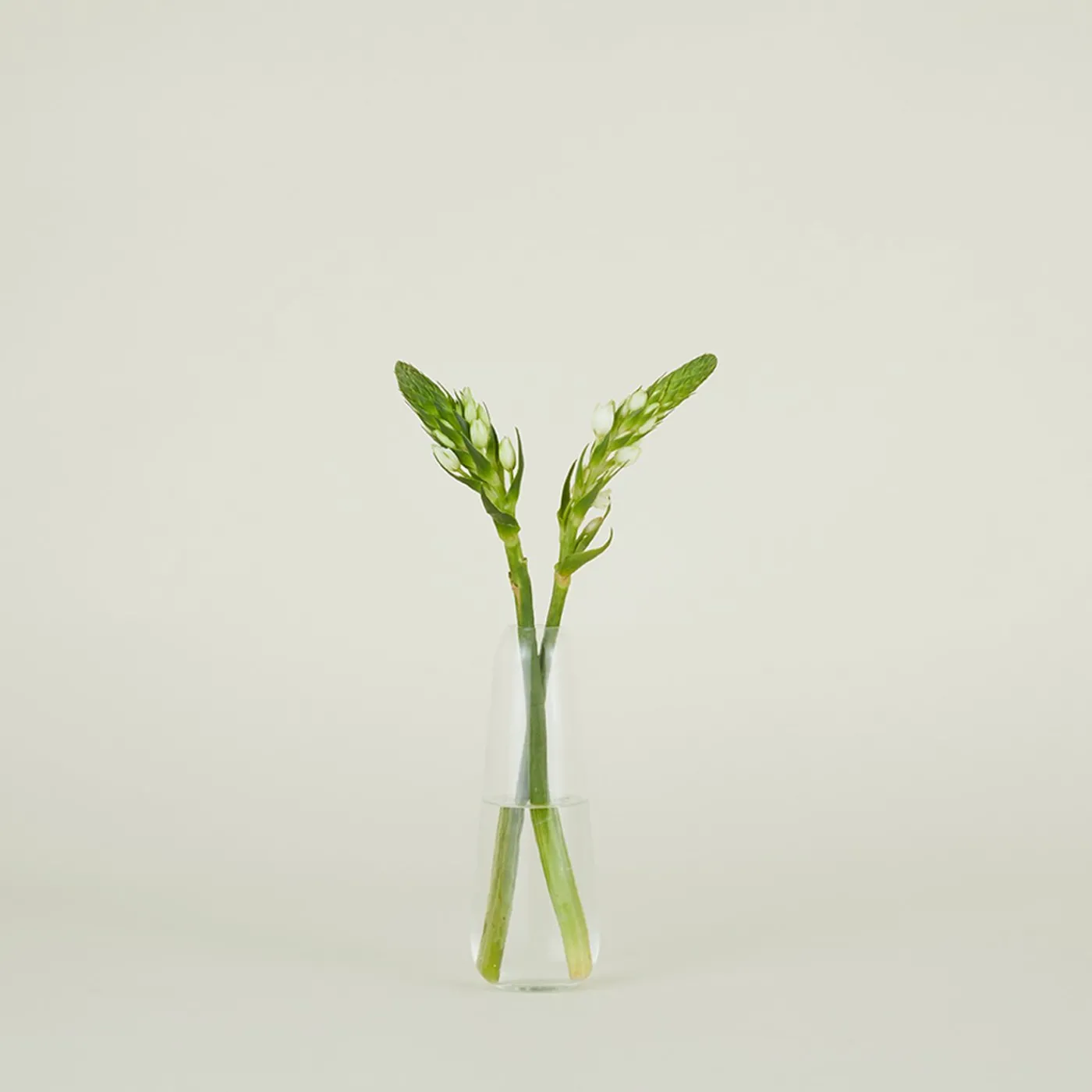 Aurora Slim Drop Vase
