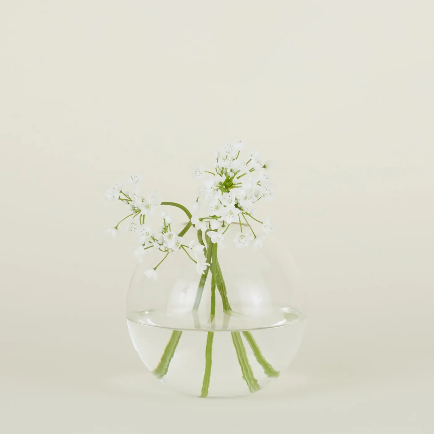 Aurora Sphere Vase