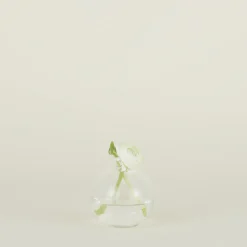 Aurora Sphere Vase