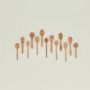 Baker's Dozen Wooden Spoons - Small