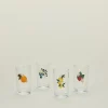 Berry & Citrus Juice Glasses, Set of 4