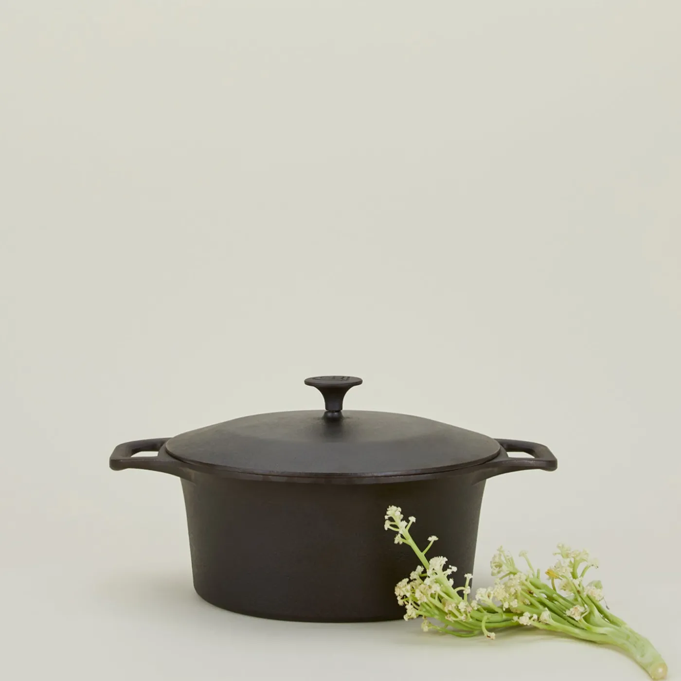 Cast Iron Dutch Oven