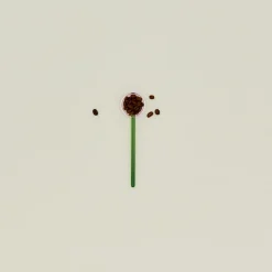 Duo Tone Spoon