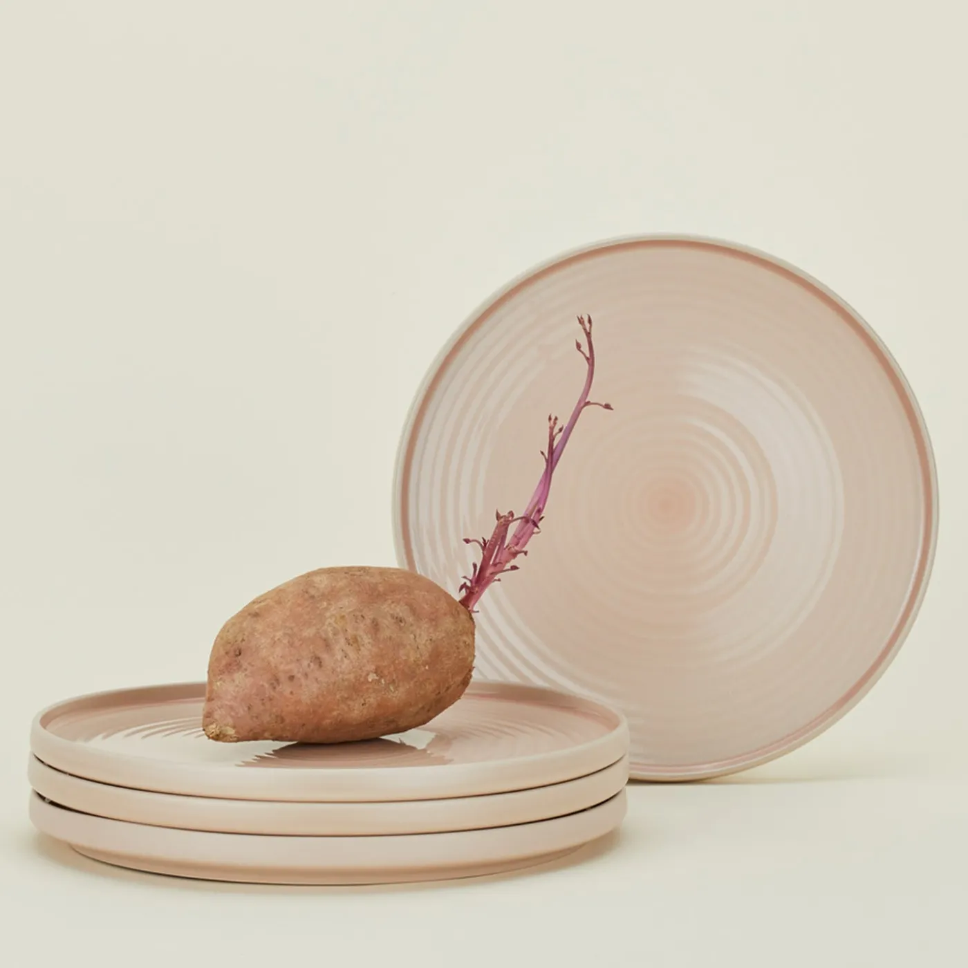 Essential Dinner Plate, Set of 4