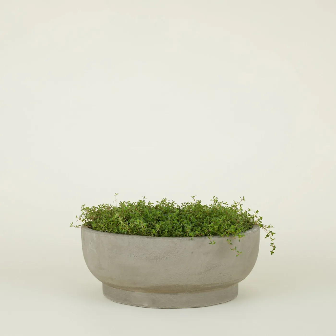 Footed Bowl Planter