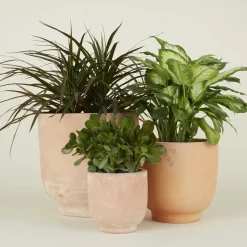 Footed Planter