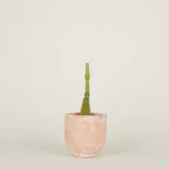 Footed Planter