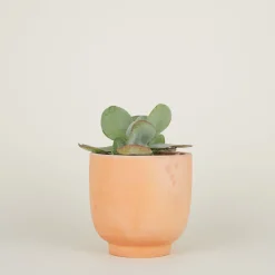Footed Planter