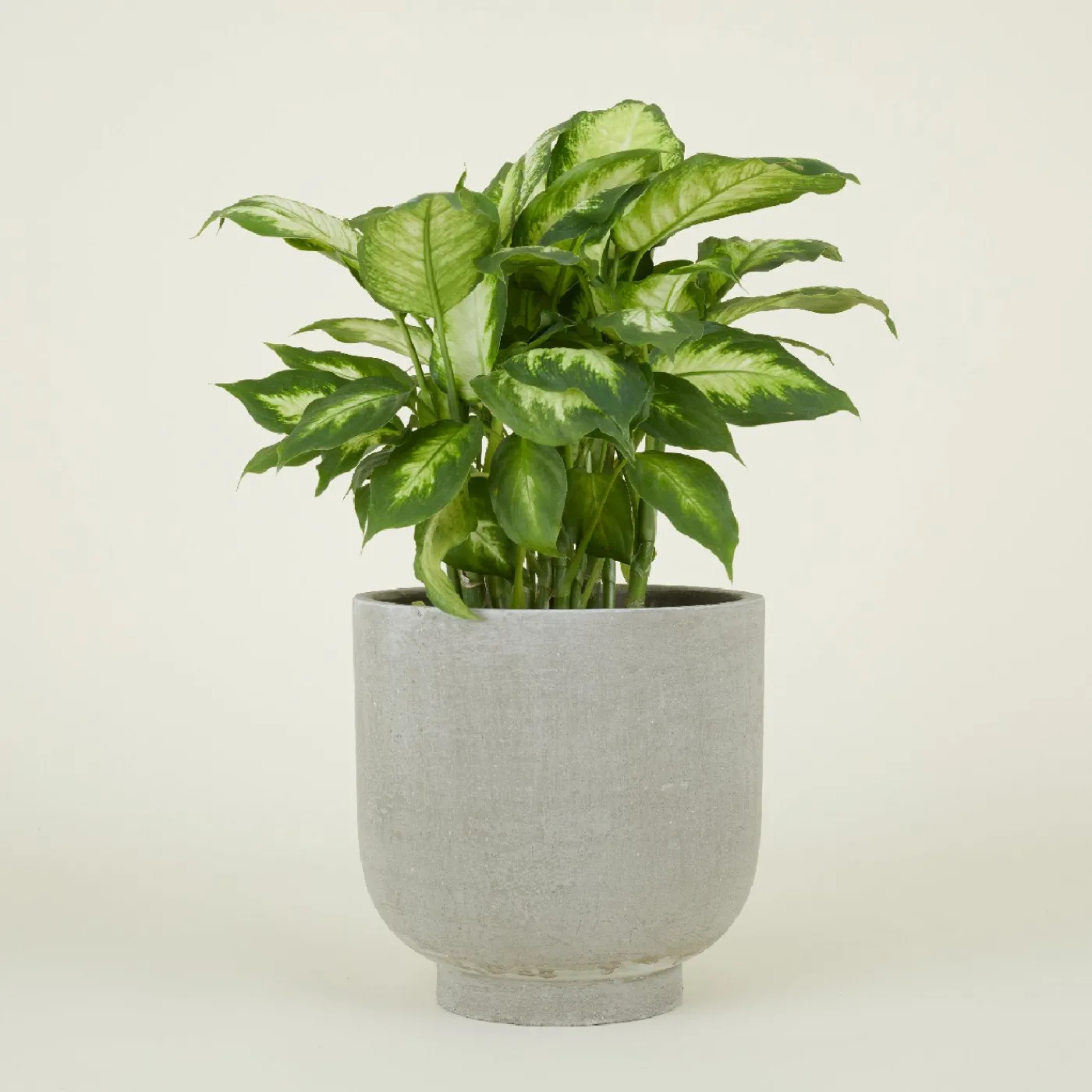 Footed Planter