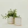 Franklin Self Watering Planter