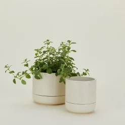 Franklin Self Watering Planter