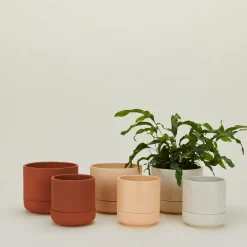 Franklin Self Watering Planter