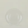Glass Dinner Plate