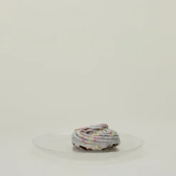 Glass Dinner Plate