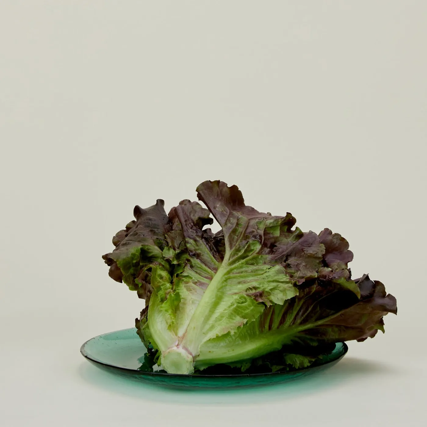 Glass Dinner Plate
