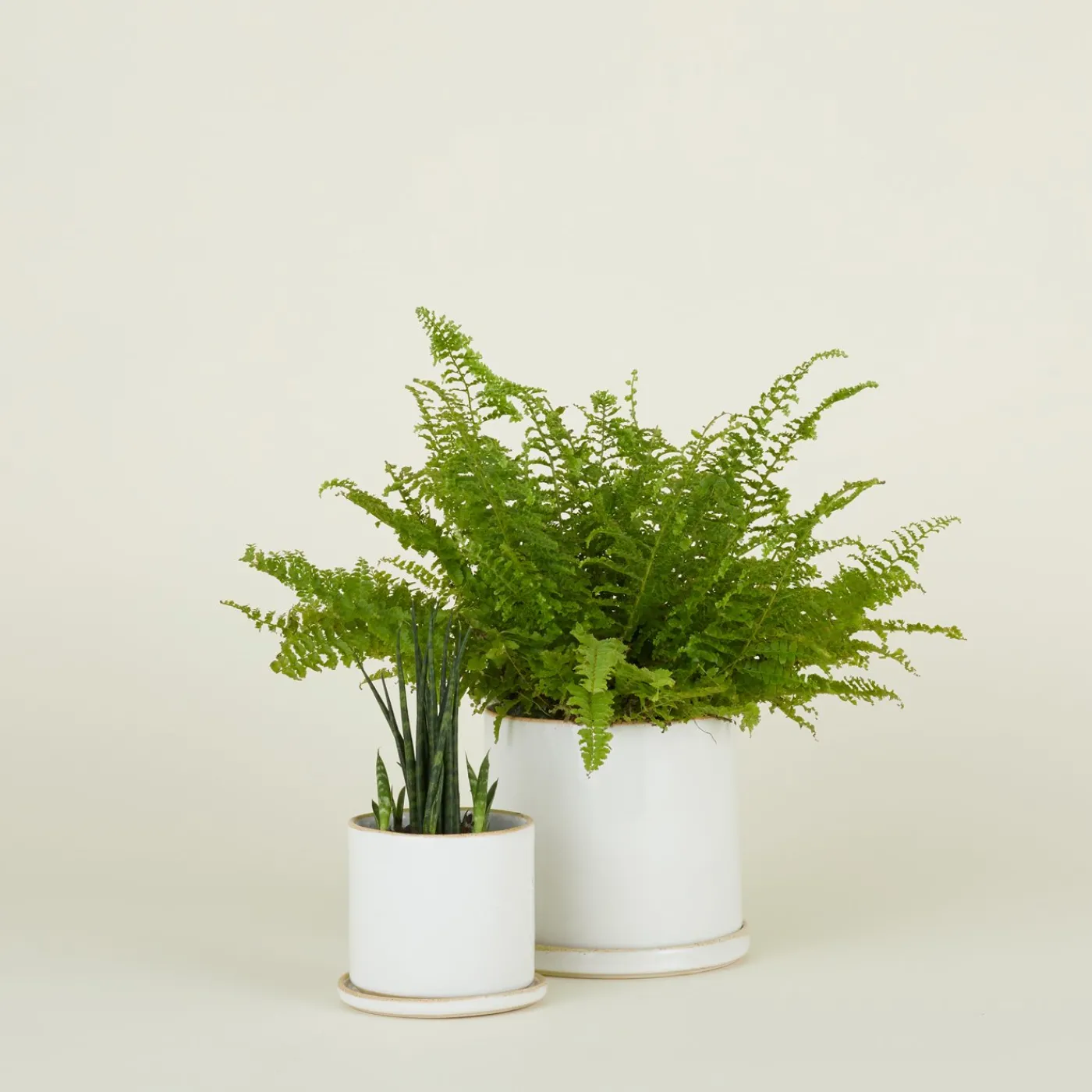 Minimal Planter