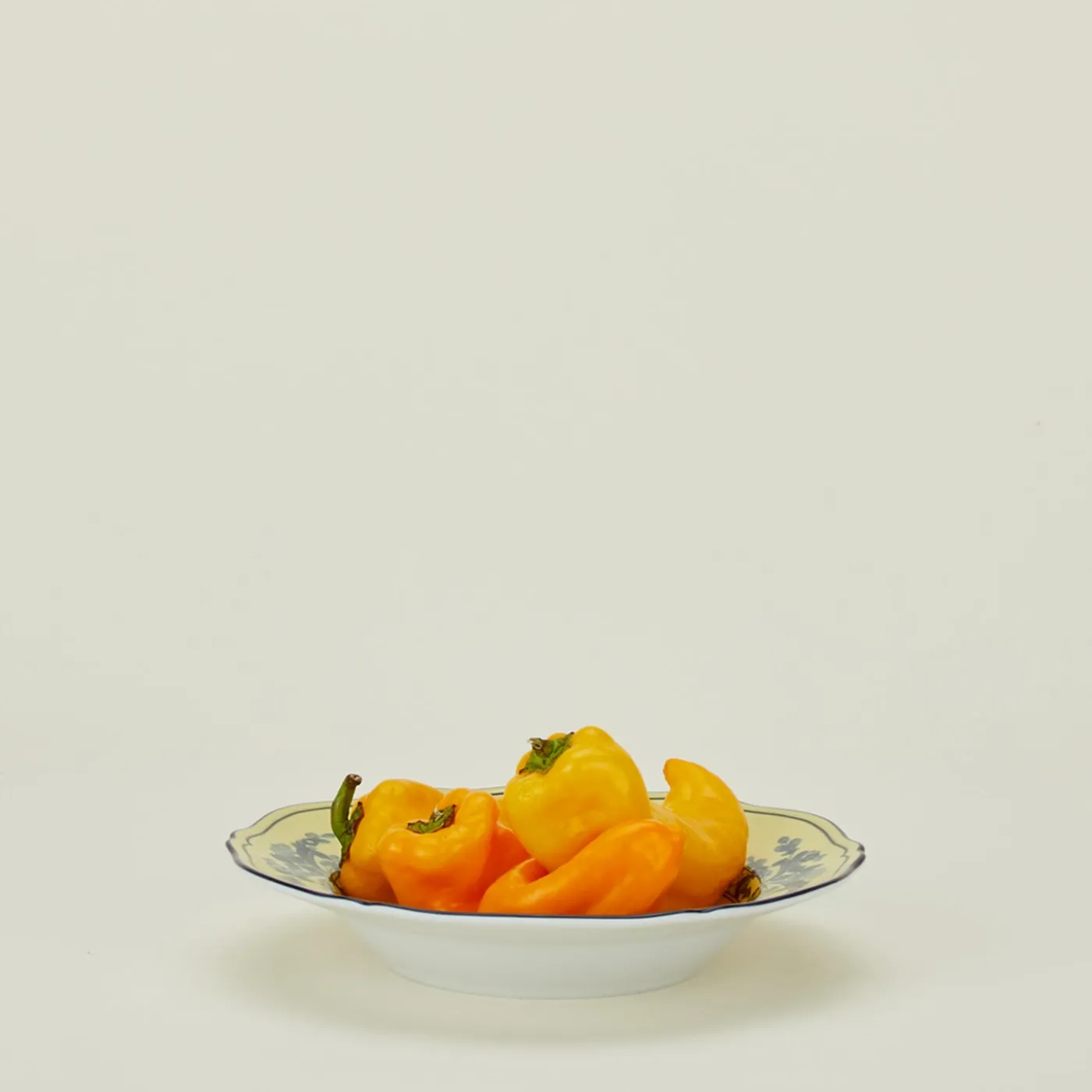 Oriente Italiano Soup Plate