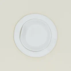 Porcelain Paper Plate