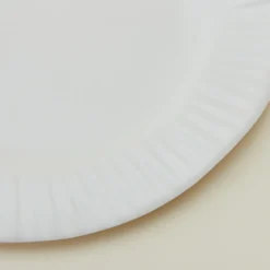 Porcelain Paper Plate