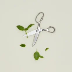 Professional Kitchen Scissors