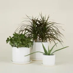 Riveted Planter