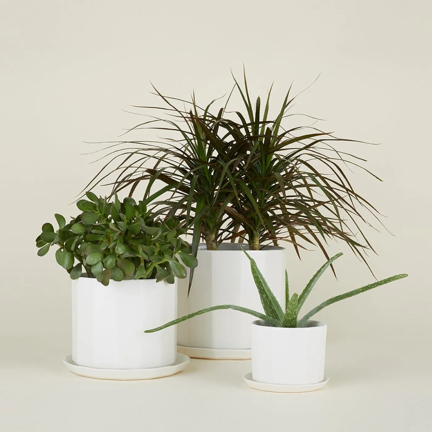 Riveted Planter