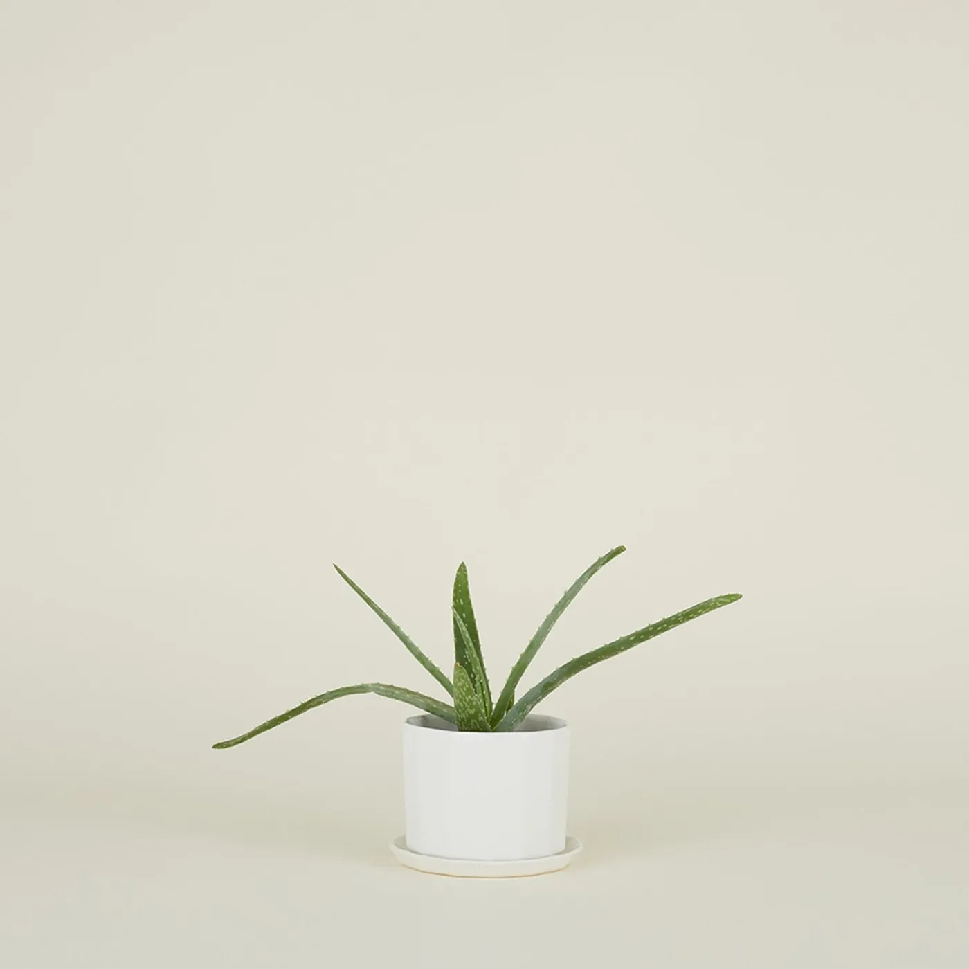 Riveted Planter