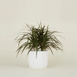 Riveted Planter