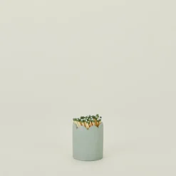 Scalloped Match Striker