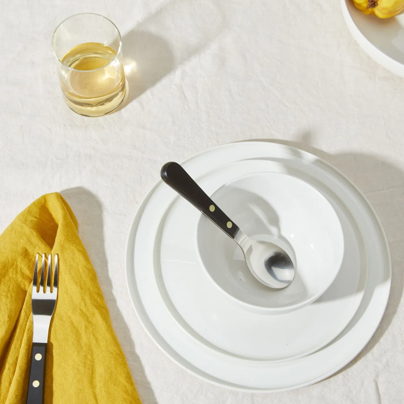 Simple Porcelain Dinner Plate, Set of 4