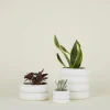 Stacking Planter