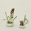 Stoneware Ikebana Vase