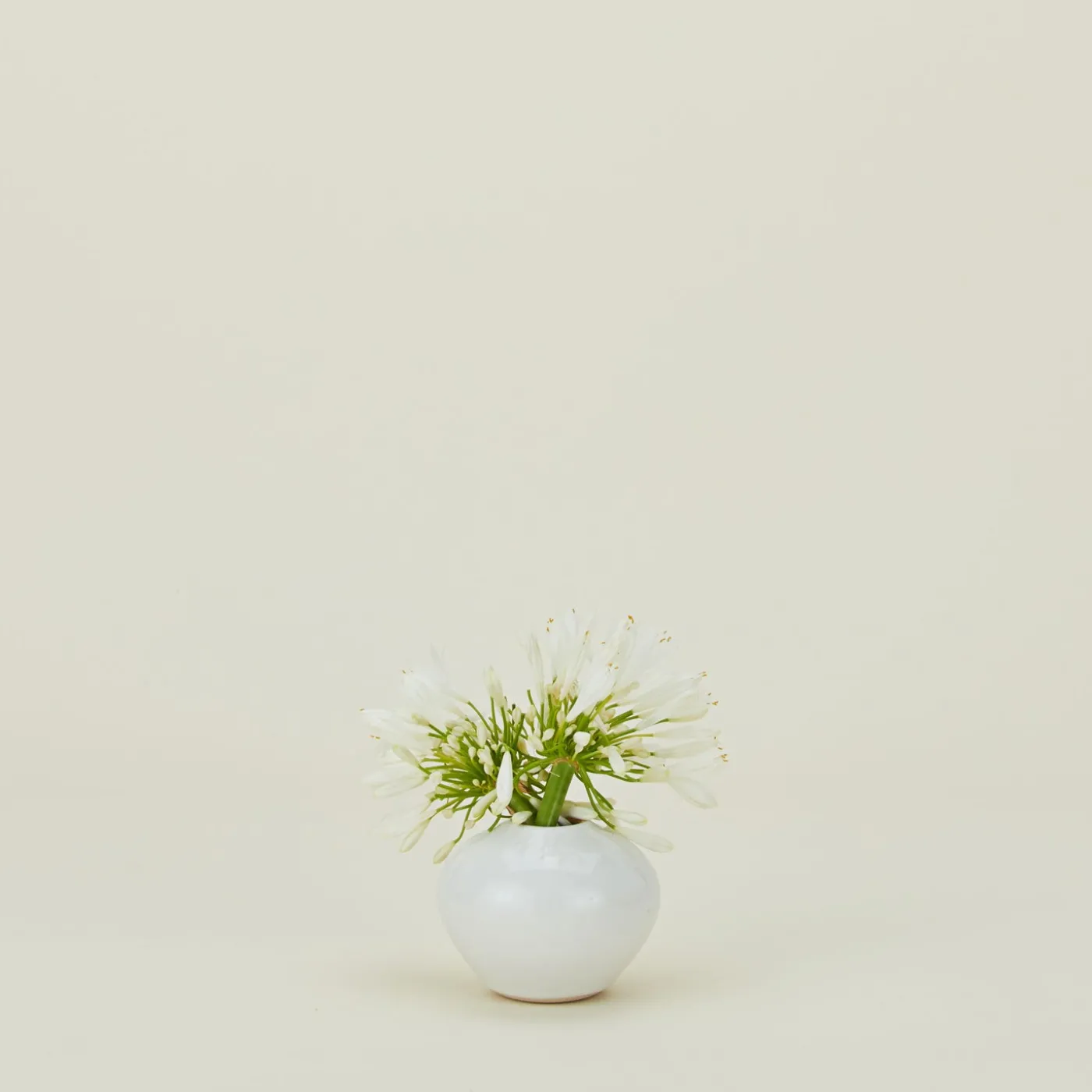 Verdure Vase